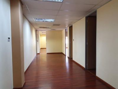 To Let commercial Property for Rent in Groenkloof Gauteng