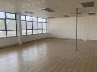 To Let commercial Property for Rent in Menlo Park Gauteng