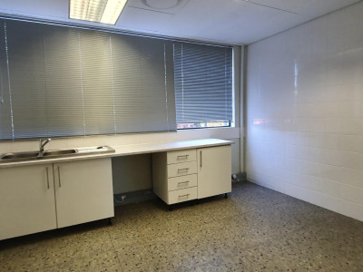 To Let commercial Property for Rent in Brooklyn Gauteng