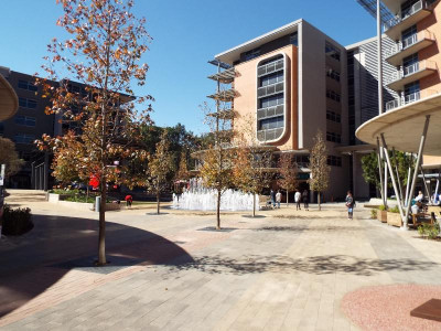 To Let commercial Property for Rent in Hatfield Gauteng