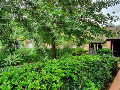 Commercial Property for Sale in Brooklyn Gauteng