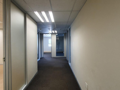 To Let commercial Property for Rent in Nieuw Muckleneuk Gauteng