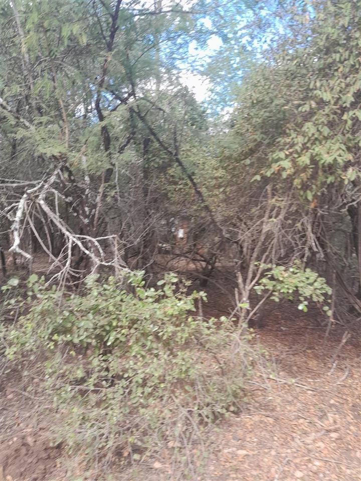 0 Bedroom Property for Sale in Marloth Park Mpumalanga