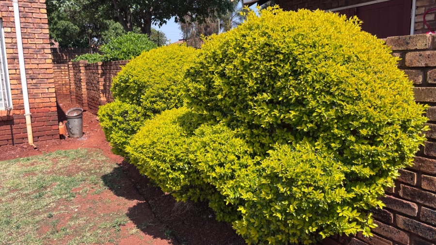 To Let 2 Bedroom Property for Rent in Clarina Gauteng