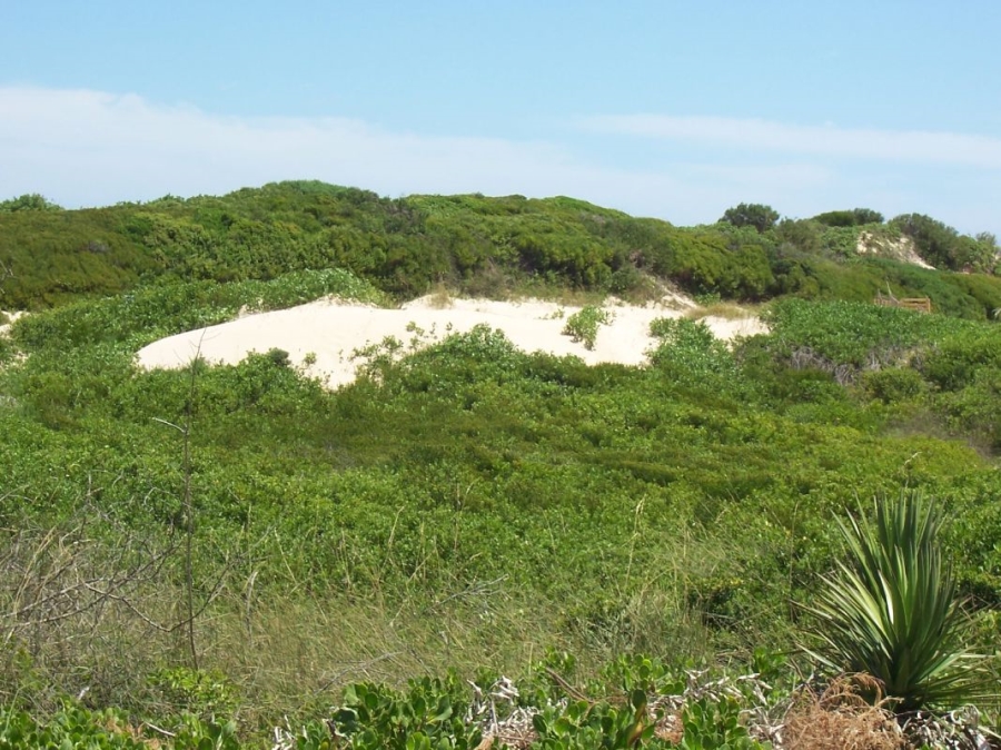 0 Bedroom Property for Sale in Heriotdale Gauteng