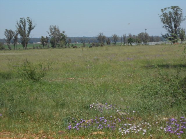 Commercial Property for Sale in Valley Settlements A H Gauteng