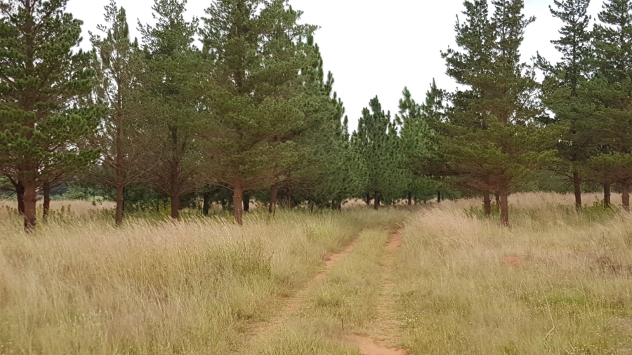 0 Bedroom Property for Sale in Marlbank Gauteng