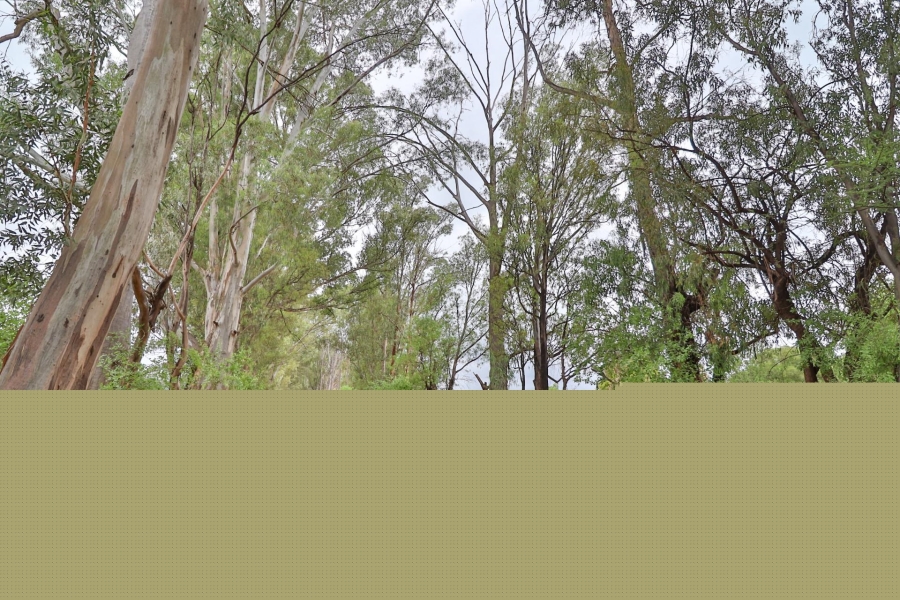 0 Bedroom Property for Sale in Kameeldrift West Gauteng