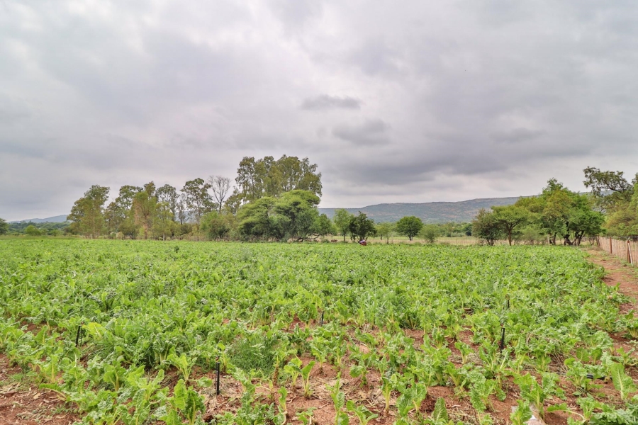 0 Bedroom Property for Sale in Kameeldrift West Gauteng