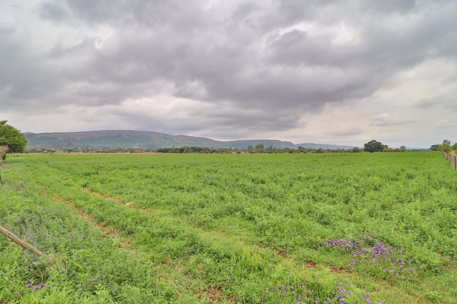 0 Bedroom Property for Sale in Kameeldrift West Gauteng