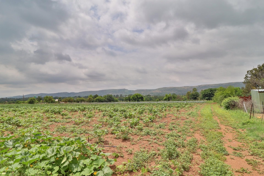 0 Bedroom Property for Sale in Kameeldrift West Gauteng