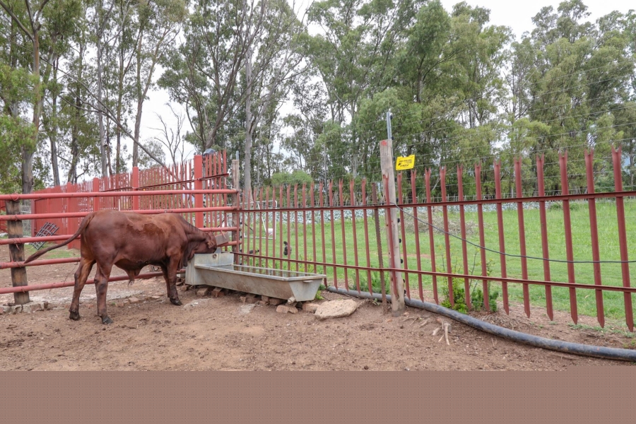 0 Bedroom Property for Sale in Kameeldrift West Gauteng