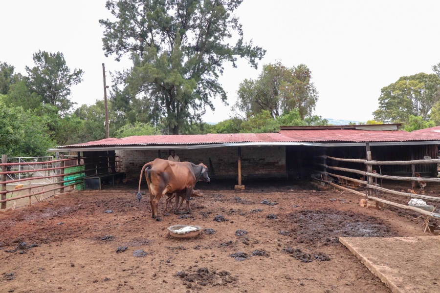 0 Bedroom Property for Sale in Kameeldrift West Gauteng