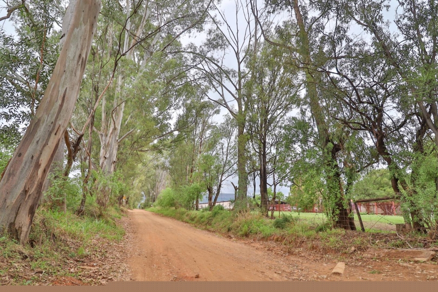 0 Bedroom Property for Sale in Kameeldrift West Gauteng