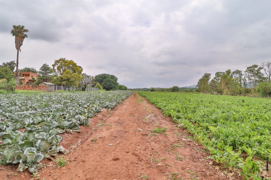 0 Bedroom Property for Sale in Kameeldrift West Gauteng