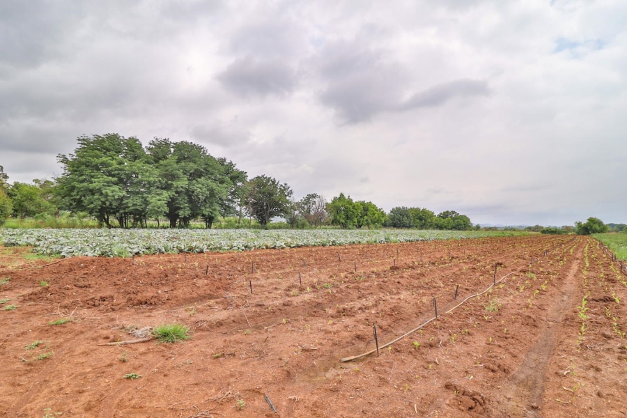 0 Bedroom Property for Sale in Kameeldrift West Gauteng