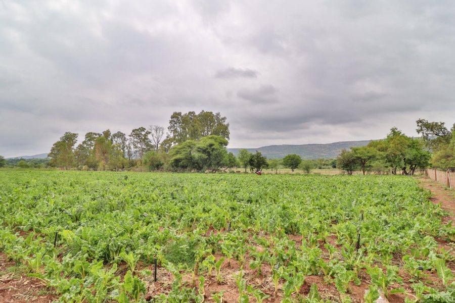 0 Bedroom Property for Sale in Kameeldrift West Gauteng