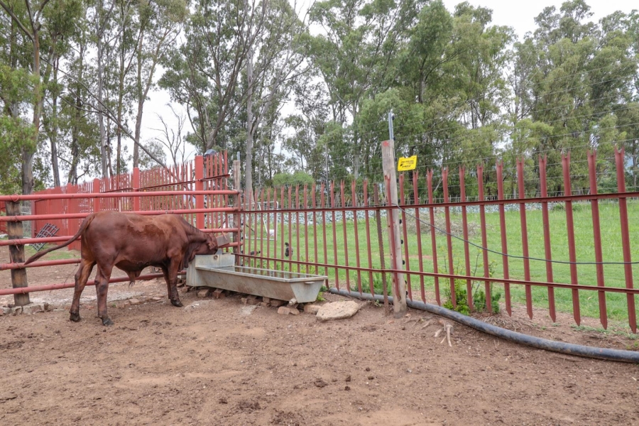 0 Bedroom Property for Sale in Kameeldrift West Gauteng