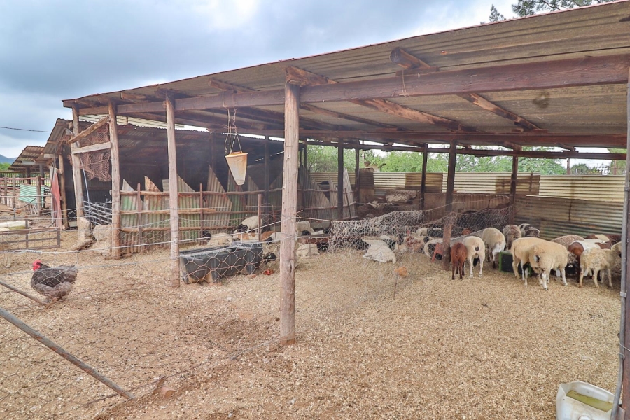 0 Bedroom Property for Sale in Kameeldrift West Gauteng