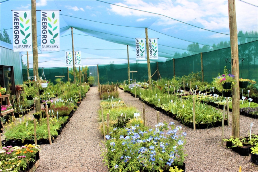 3 Bedroom Property for Sale in Mullerstuine Gauteng