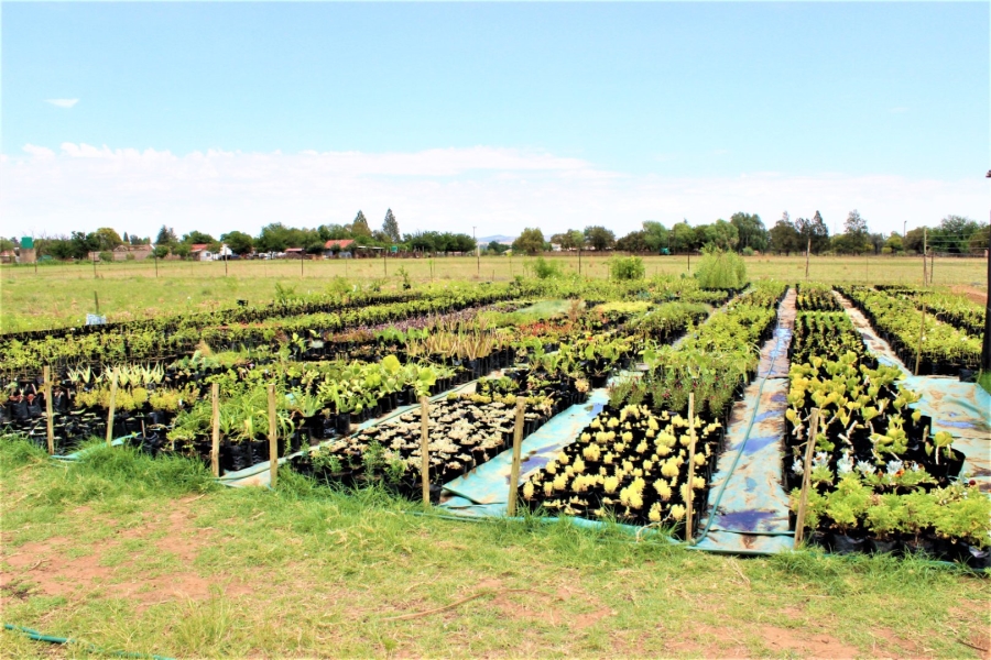 3 Bedroom Property for Sale in Mullerstuine Gauteng