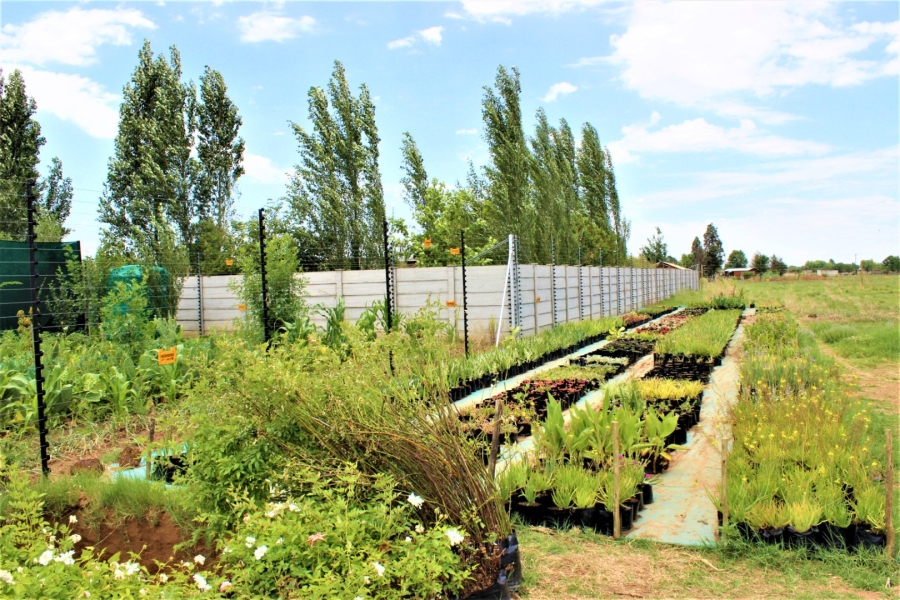 3 Bedroom Property for Sale in Mullerstuine Gauteng