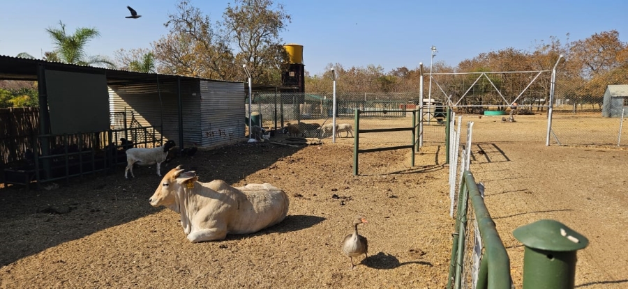 Commercial Property for Sale in Grootvaly AH Gauteng