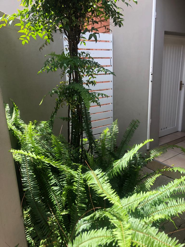 To Let 3 Bedroom Property for Rent in Eveleigh Gauteng