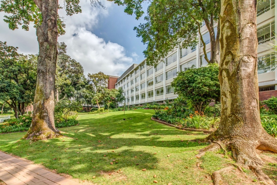 To Let 2 Bedroom Property for Rent in Illovo Gauteng
