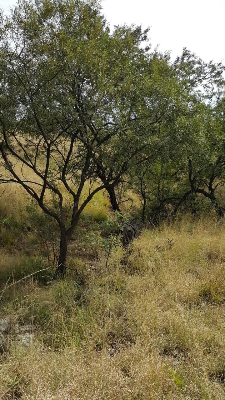 Commercial Property for Sale in Hennops River Gauteng