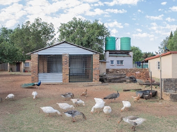 7 Bedroom Property for Sale in Pendale Gauteng
