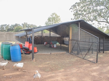 7 Bedroom Property for Sale in Pendale Gauteng