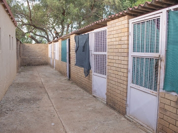 7 Bedroom Property for Sale in Pendale Gauteng
