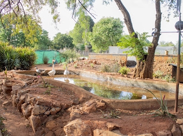 7 Bedroom Property for Sale in Pendale Gauteng
