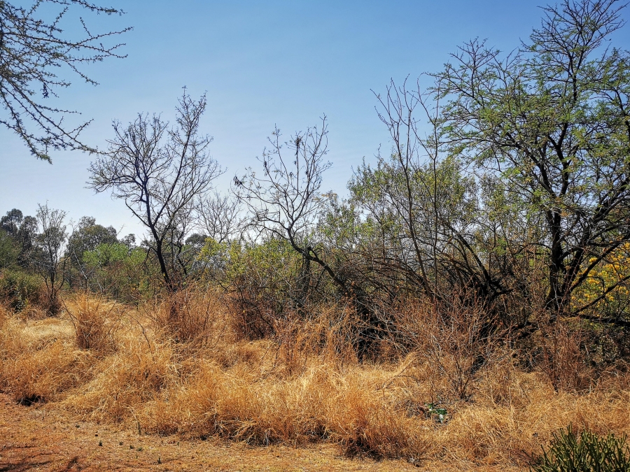 0 Bedroom Property for Sale in Pretoria North Gauteng