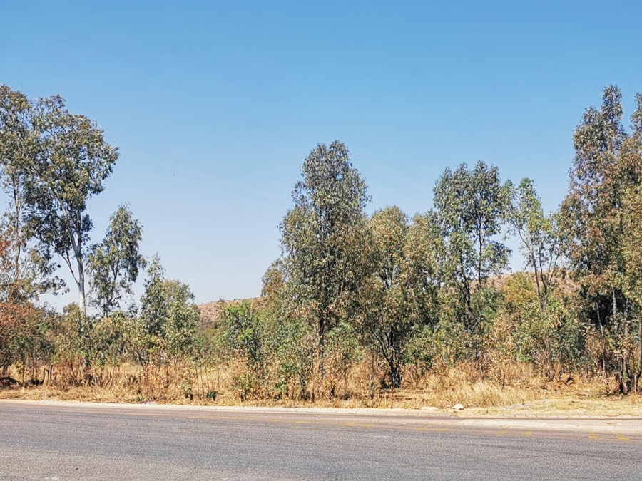 0 Bedroom Property for Sale in Pretoria North Gauteng