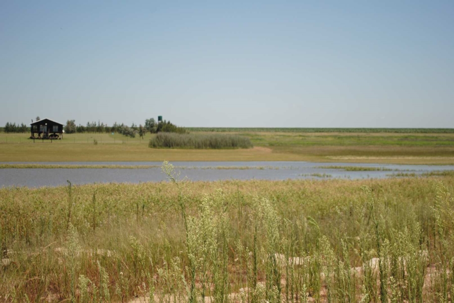 0 Bedroom Property for Sale in Vaal Dam Gauteng