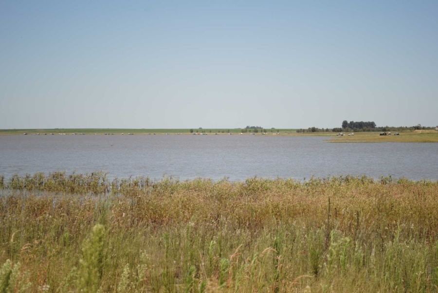 0 Bedroom Property for Sale in Vaal Dam Gauteng