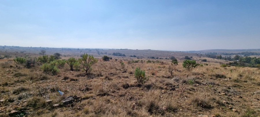 0 Bedroom Property for Sale in Tarlton Gauteng