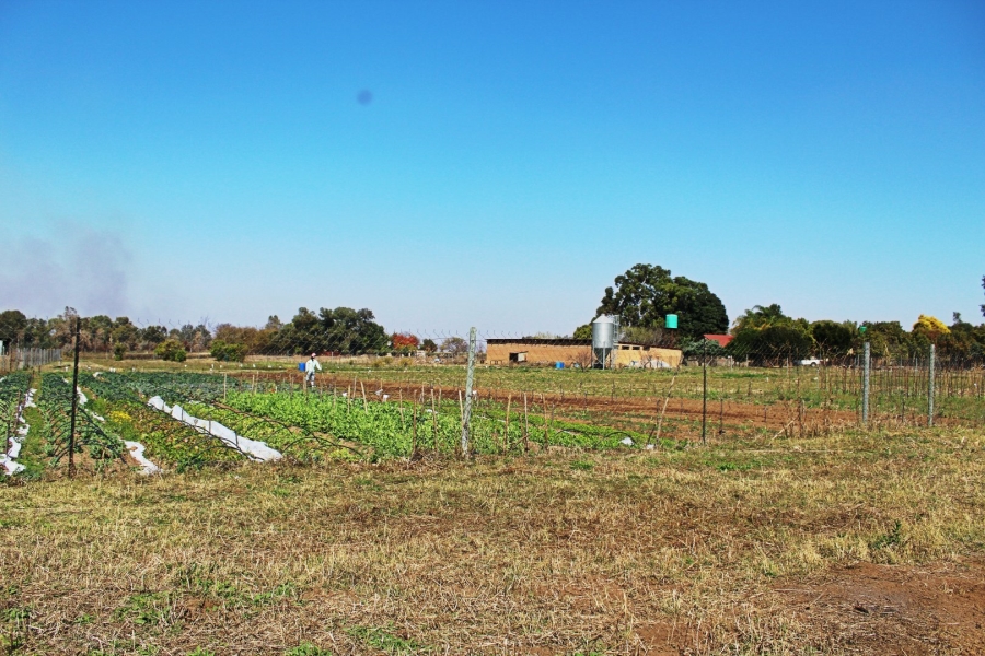 5 Bedroom Property for Sale in Rooiwal A H Gauteng