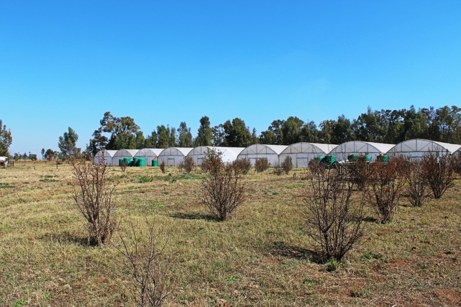 5 Bedroom Property for Sale in Rooiwal A H Gauteng