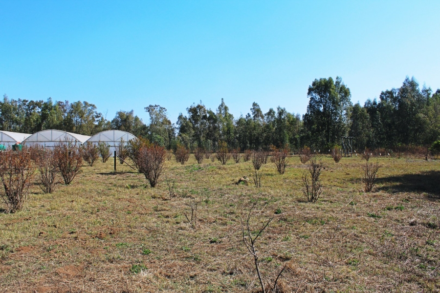 5 Bedroom Property for Sale in Rooiwal A H Gauteng