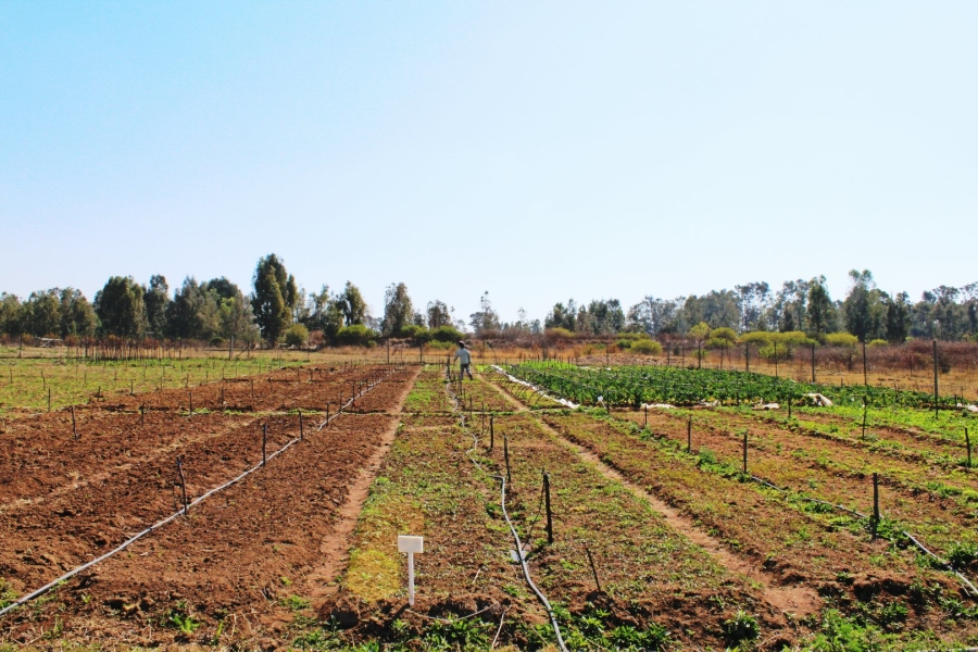 5 Bedroom Property for Sale in Rooiwal A H Gauteng