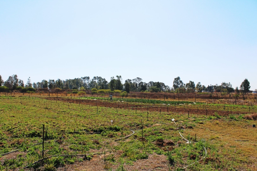 5 Bedroom Property for Sale in Rooiwal A H Gauteng