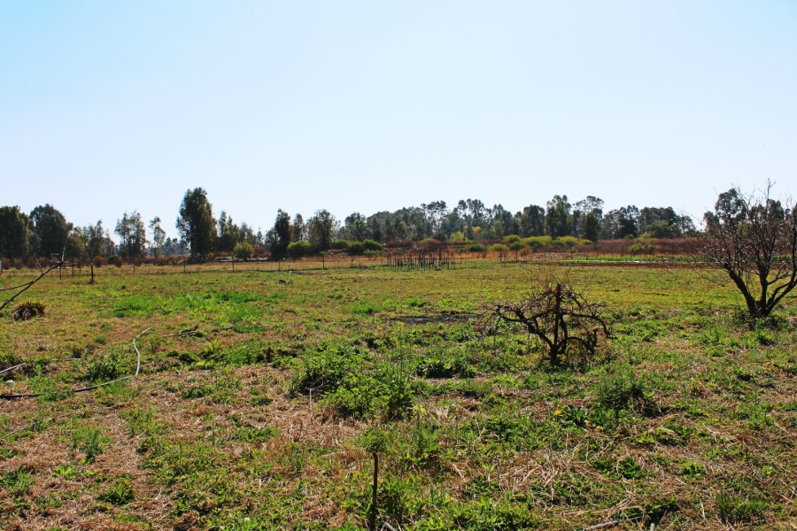 5 Bedroom Property for Sale in Rooiwal A H Gauteng