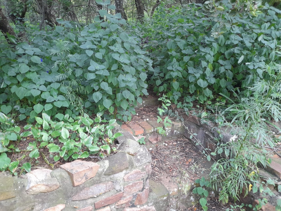 Commercial Property for Sale in Roodekrans Gauteng