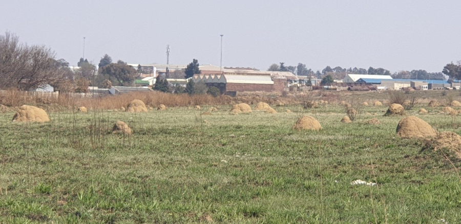 Commercial Property for Sale in Witkop Gauteng