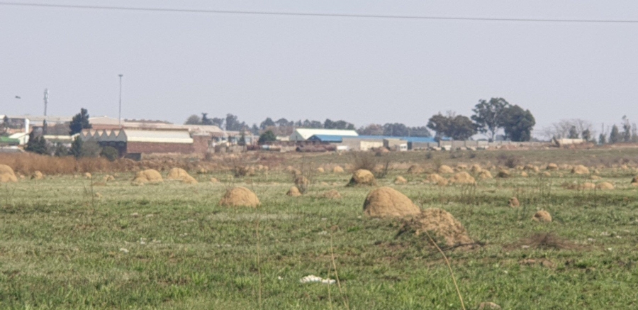 Commercial Property for Sale in Witkop Gauteng