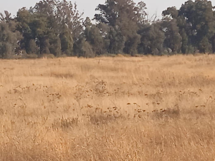 Commercial Property for Sale in Blue Saddle Ranches Gauteng