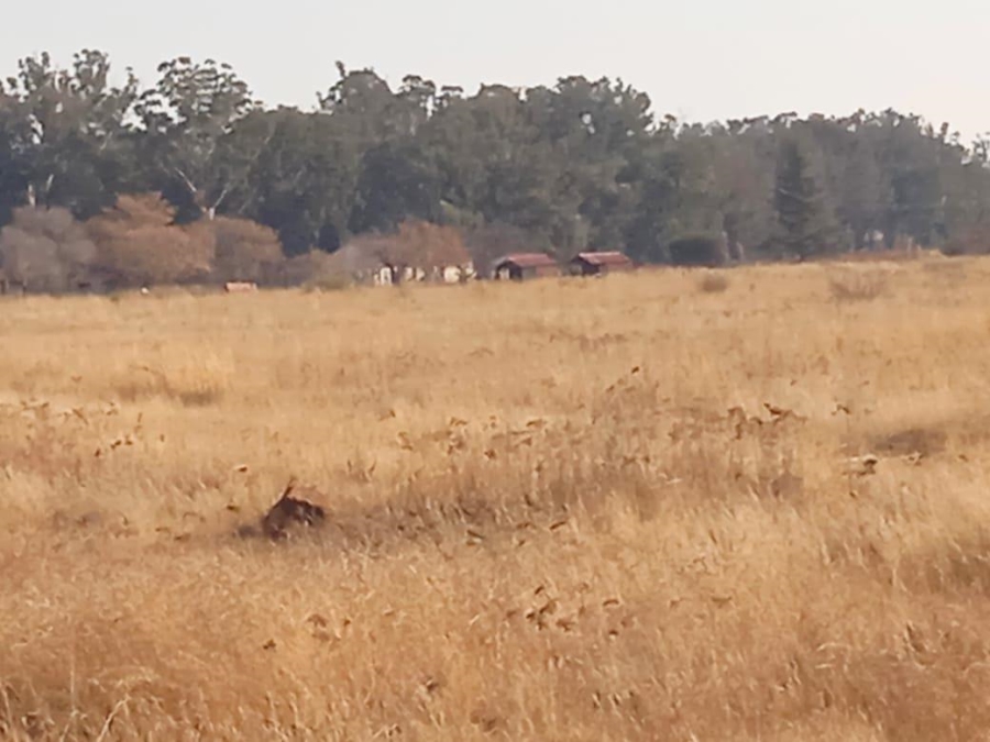 Commercial Property for Sale in Blue Saddle Ranches Gauteng